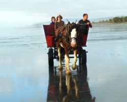 NZ horse and wagon on a West Coast beach.Barrytown, near Punakaiki